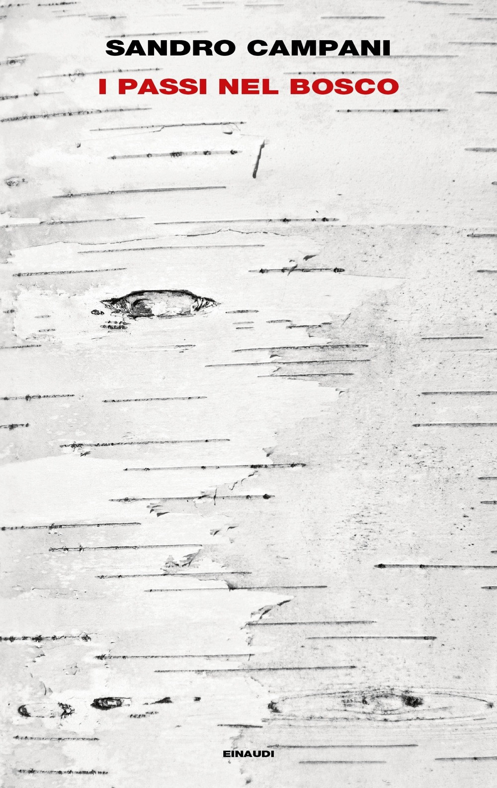 Libro passi nel bosco di Sandro Campani - ean 9788806243296 - Einaudi