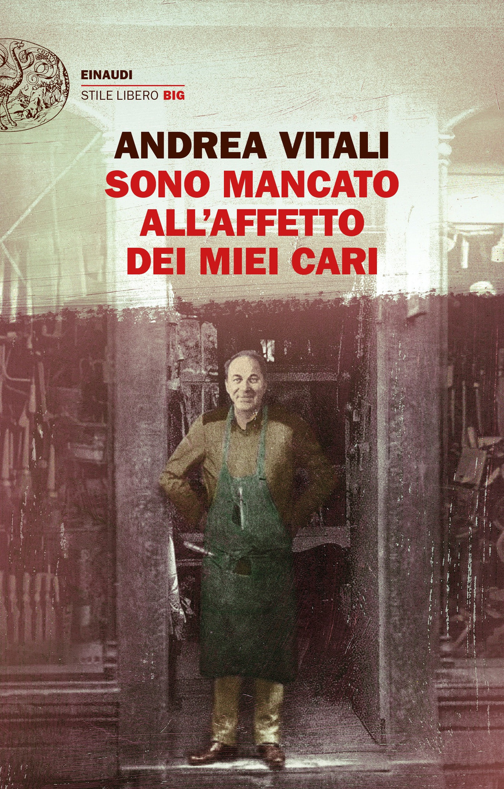 Libro Sono mancato all'affetto dei miei cari di Andrea Vitali - ean 9788806251994 - Einaudi