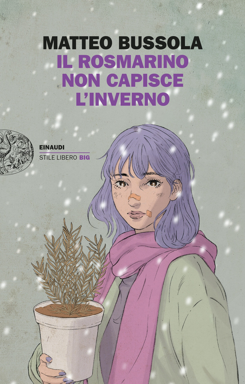 Libro rosmarino non capisce l’inverno di Matteo Bussola - ean 9788806254483 - Einaudi