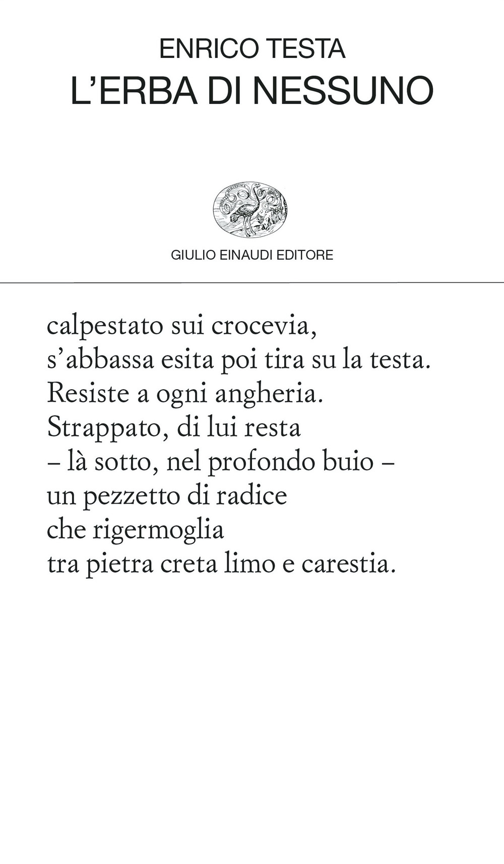 Libro erba di nessuno di Enrico Testa - ean 9788806257637 - Einaudi