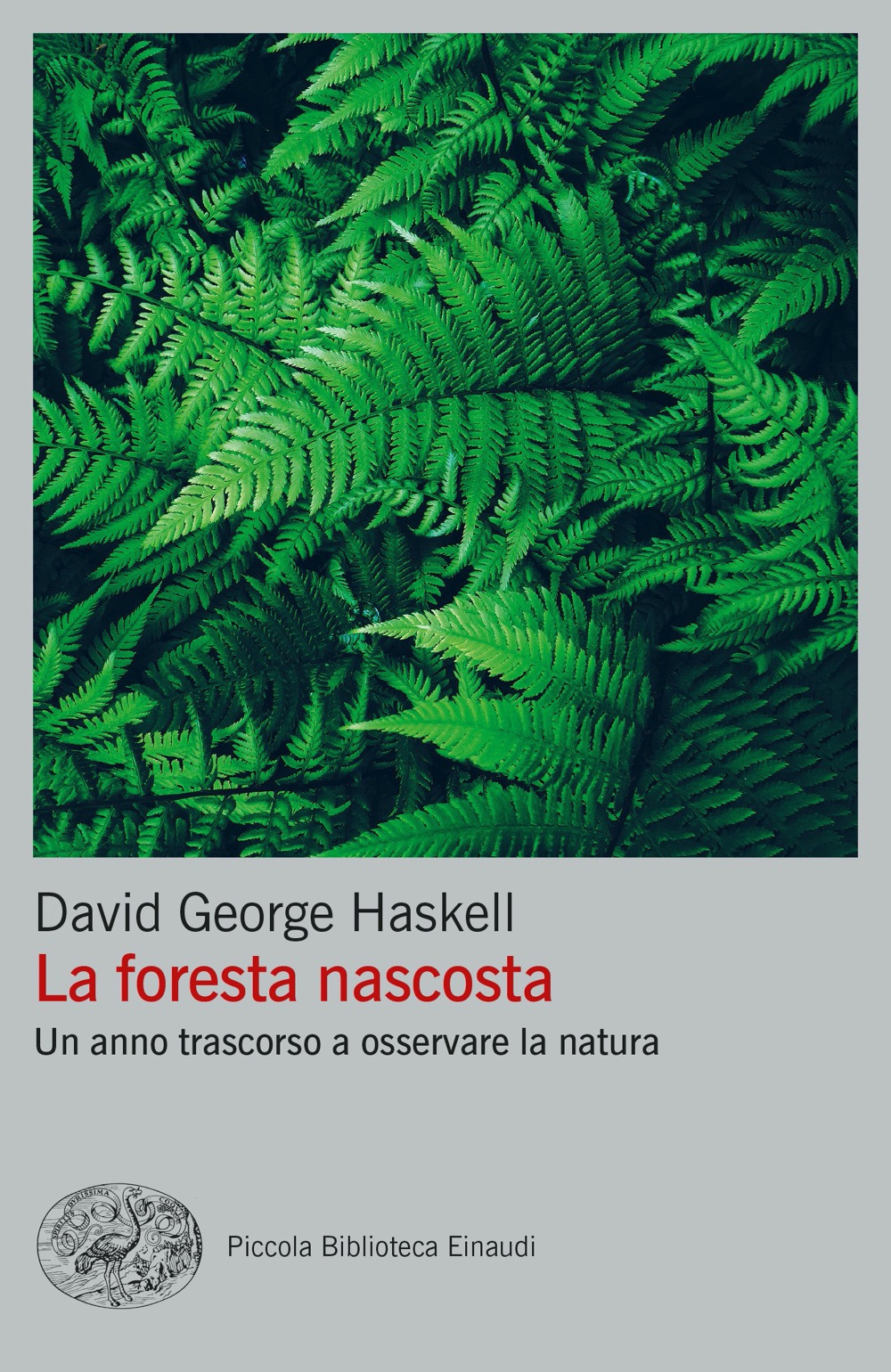 Libro foresta nascosta. Un anno trascorso a osservare la natura di David George Haskell - ean 9788806261498 - Einaudi