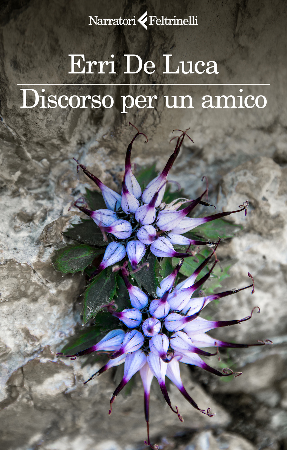 Libro Discorso per un amico di Erri De Luca - ean 9788807035944 - Feltrinelli