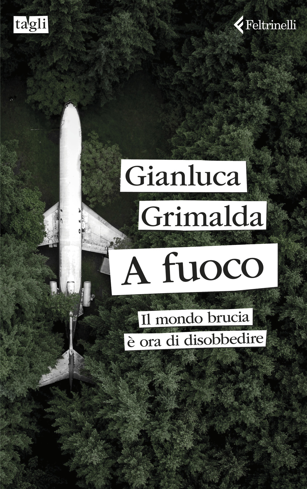 Libro A fuoco. Il mondo brucia è ora di disobbedire di Gianluca Grimalda - ean 9788807730733 - Feltrinelli