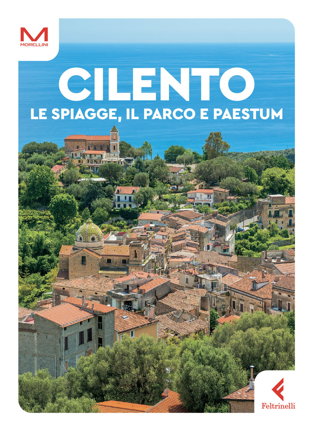 Libro Cilento. Le spiagge