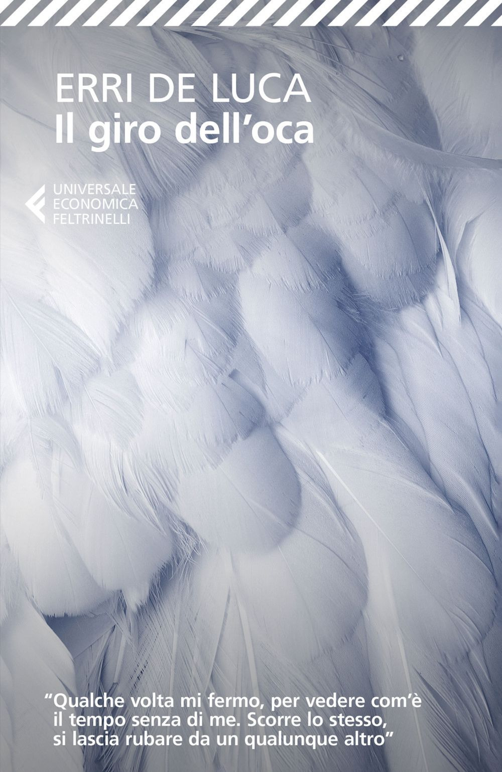 Libro giro dell'oca di Erri De Luca - ean 9788807893261 - Feltrinelli