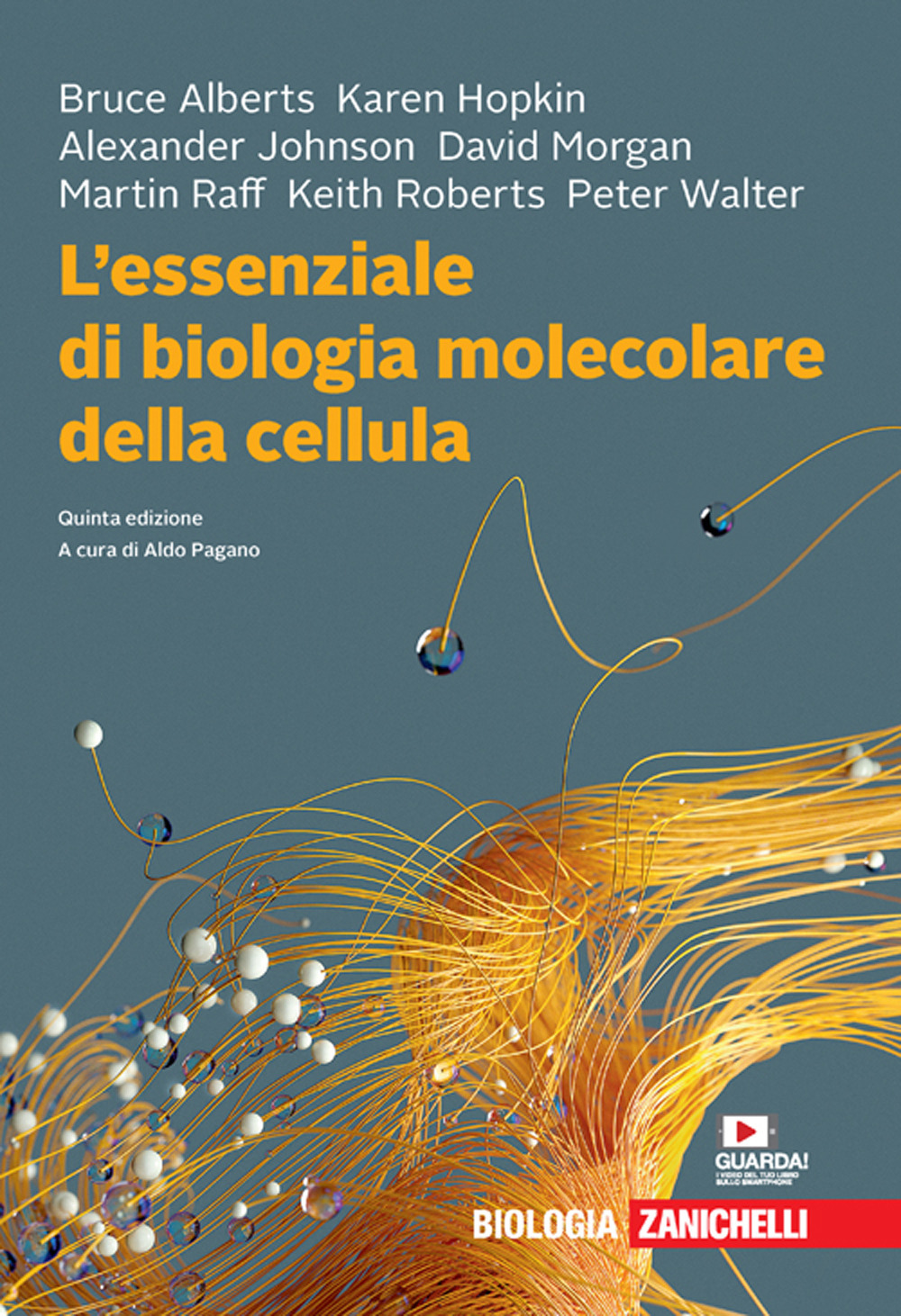 Libro essenziale di biologia molecolare della cellula di Bruce Alberts; Karen Hopkin; Alexander Johnson; David Morgan; Martin Raff; Keith Roberts; Peter Walter - ean 9788808520241 - Zanichelli