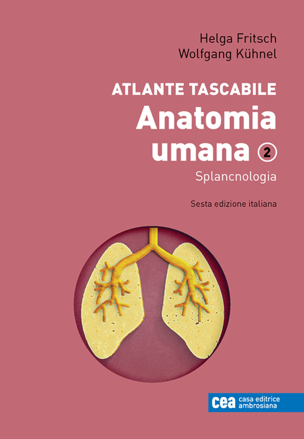 Libro Anatomia umana. Atlante tascabile di Helga Fritsch; Wolfgang Kühnel - ean 9788808899569 - CEA