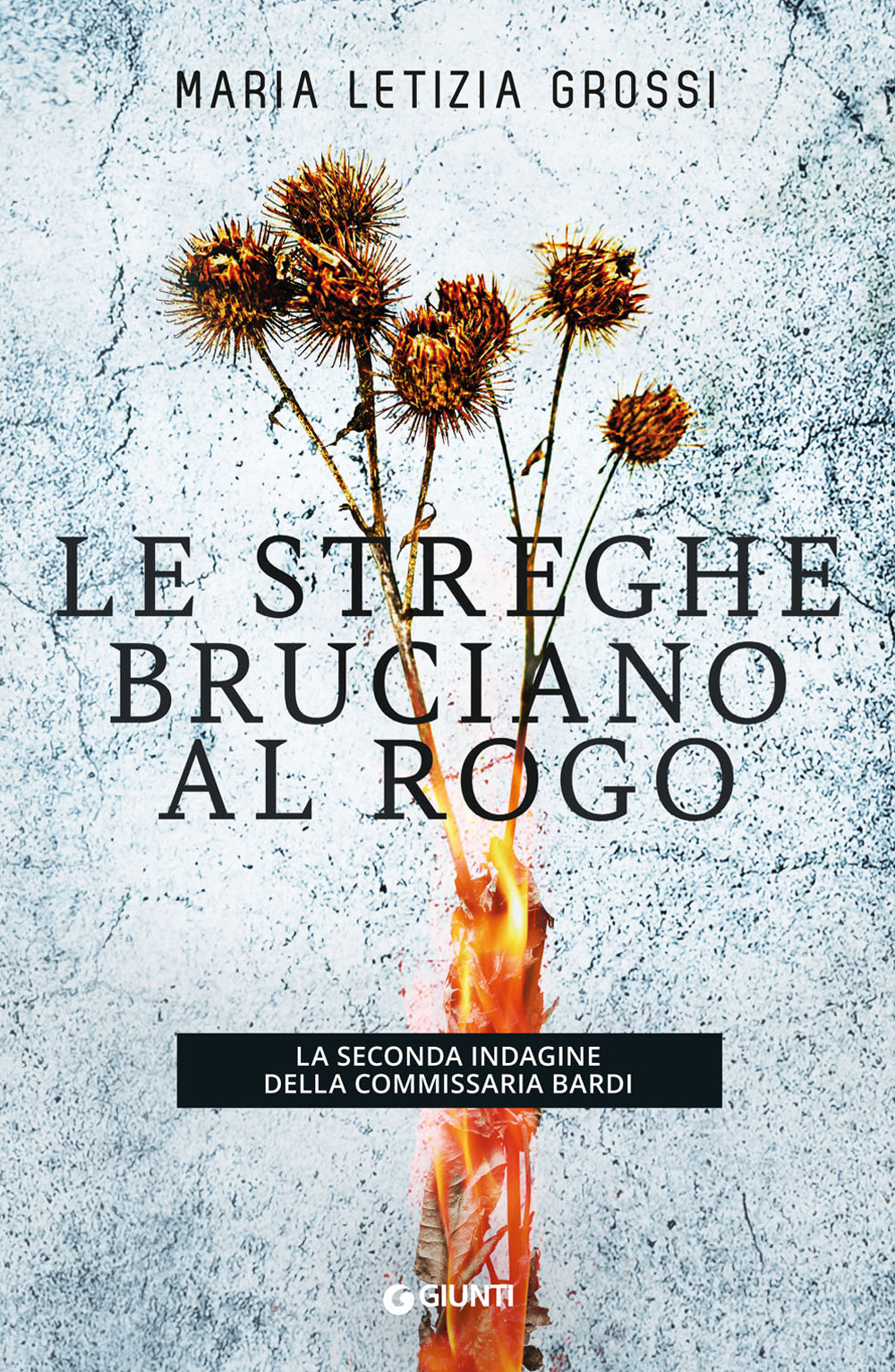 Libro streghe bruciano al rogo. La seconda indagine della commissaria Bardi di Maria Letizia Grossi - ean 9788809884533 - Giunti Editore