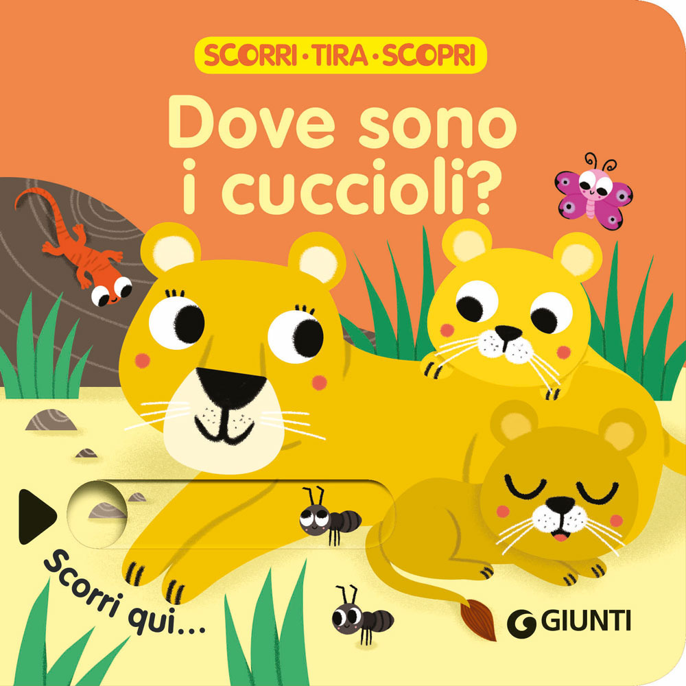 Libro Dove sono i cuccioli? Scorri
