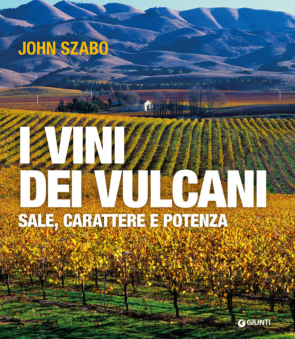 Libro vini dei vulcani. Sale