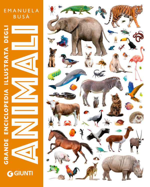 Libro Grande enciclopedia illustrata degli animali di Emanuela Busà - ean 9788809937666 - Giunti Editore