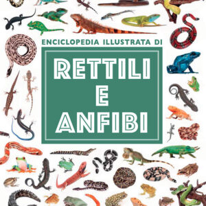 Libro Rettili e anfibi. Enciclopedia illustrata di Emanuela Busà - ean 9788809943087 - Giunti Editore