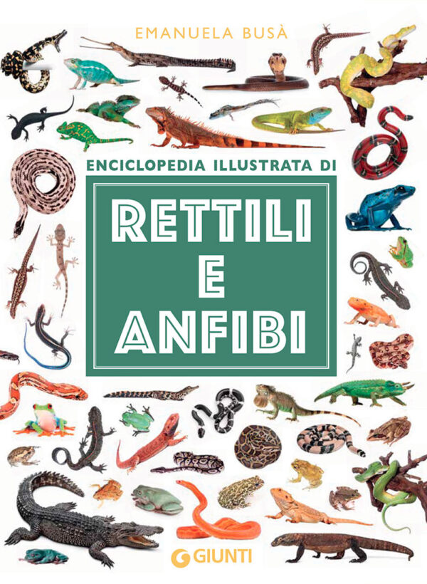 Libro Rettili e anfibi. Enciclopedia illustrata di Emanuela Busà - ean 9788809943087 - Giunti Editore