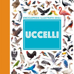 Libro Uccelli. Enciclopedia illustrata di Emanuela Busà - ean 9788809943094 - Giunti Editore