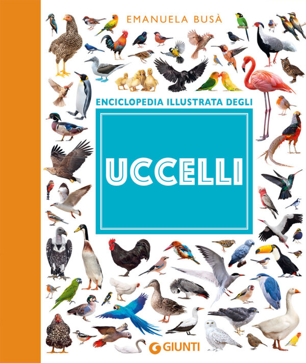 Libro Uccelli. Enciclopedia illustrata di Emanuela Busà - ean 9788809943094 - Giunti Editore