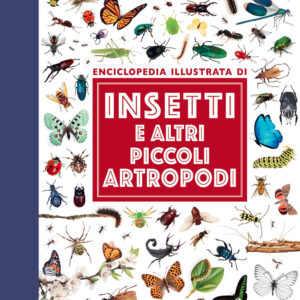 Libro Insetti e altri piccoli artropodi. Enciclopedia illustrata di Emanuela Busà - ean 9788809948594 - Giunti Editore