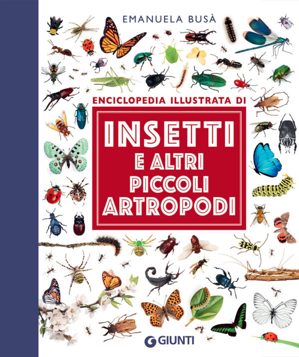 Libro Insetti e altri piccoli artropodi. Enciclopedia illustrata di Emanuela Busà - ean 9788809948594 - Giunti Editore