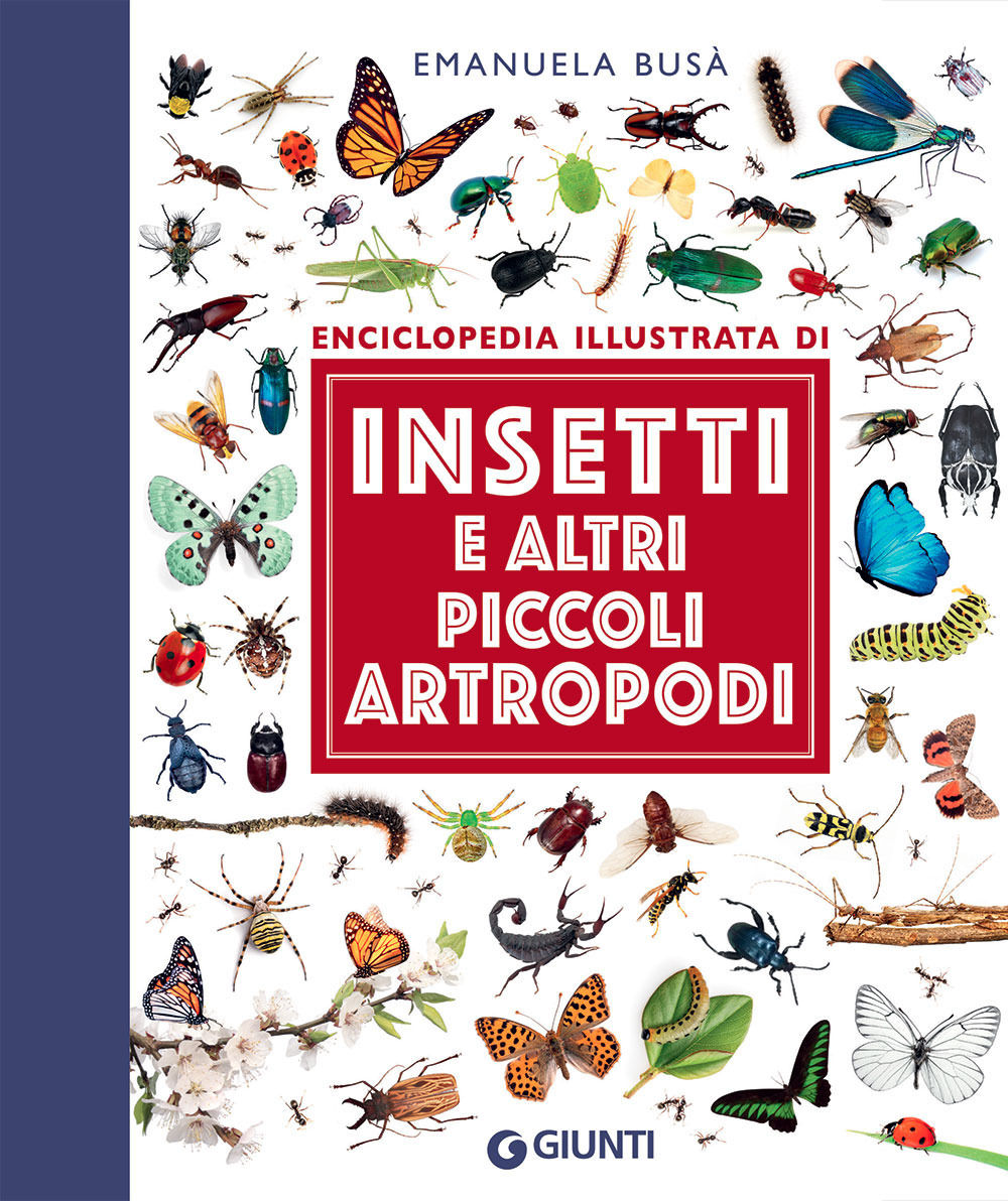 Libro Insetti e altri piccoli artropodi. Enciclopedia illustrata di Emanuela Busà - ean 9788809948594 - Giunti Editore