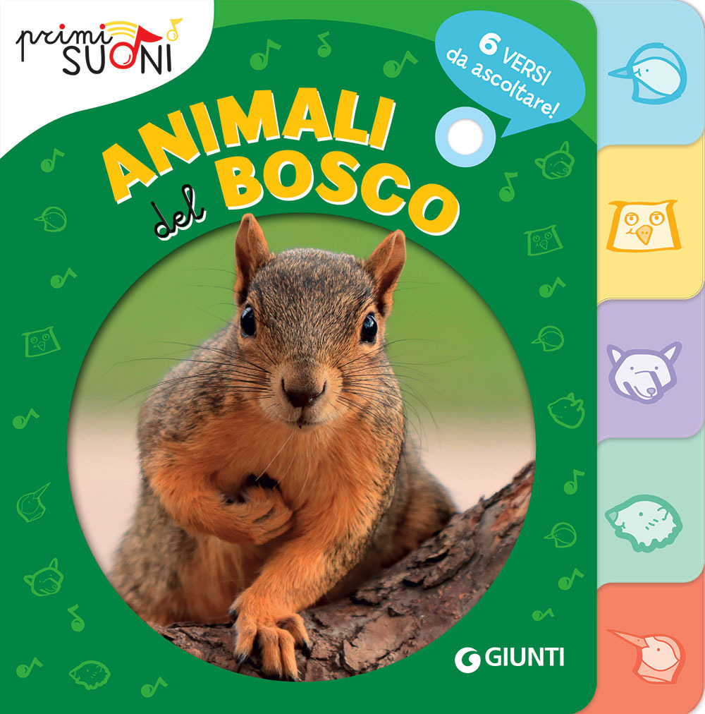 Libro Animali del bosco. Primi suoni di Silvia D'Achille - ean 9788809948631 - Giunti Editore