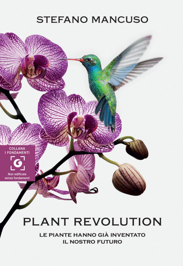 Libro Plant revolution. Le piante hanno già inventato il nostro futuro di Stefano Mancuso - ean 9788809962101 - Giunti Editore
