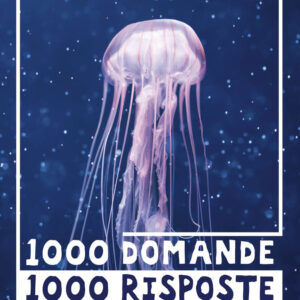 Libro Mari e oceani. 1000 domande 1000 risposte di Paola Fabris - ean 9788809966888 - Giunti Editore