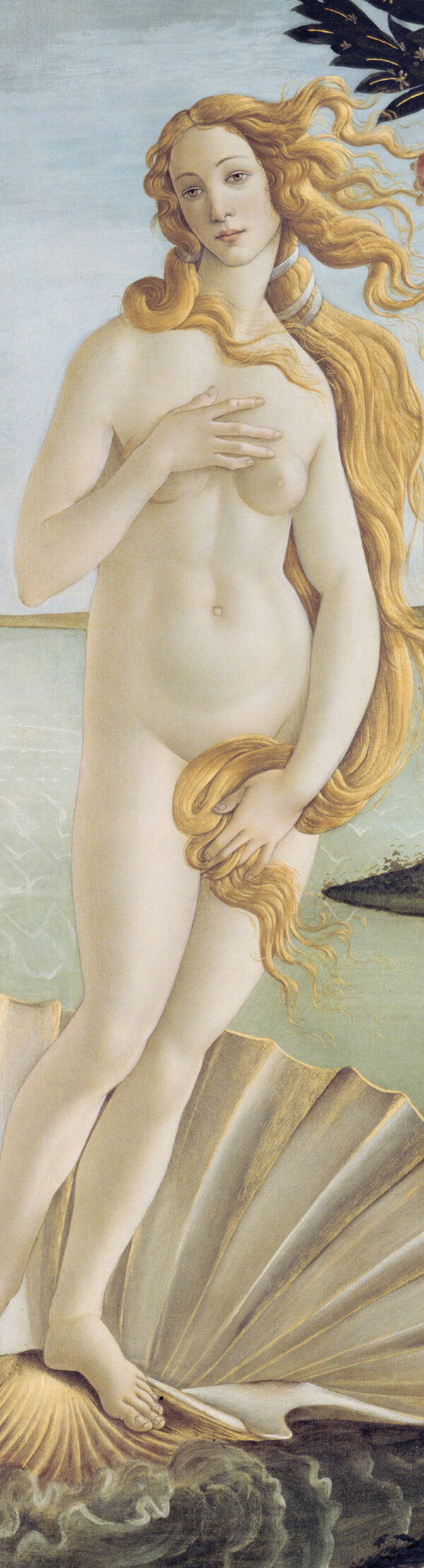 Libro Botticelli Venere (segnalibro) di  - ean 9788809976702 - Giunti Editore