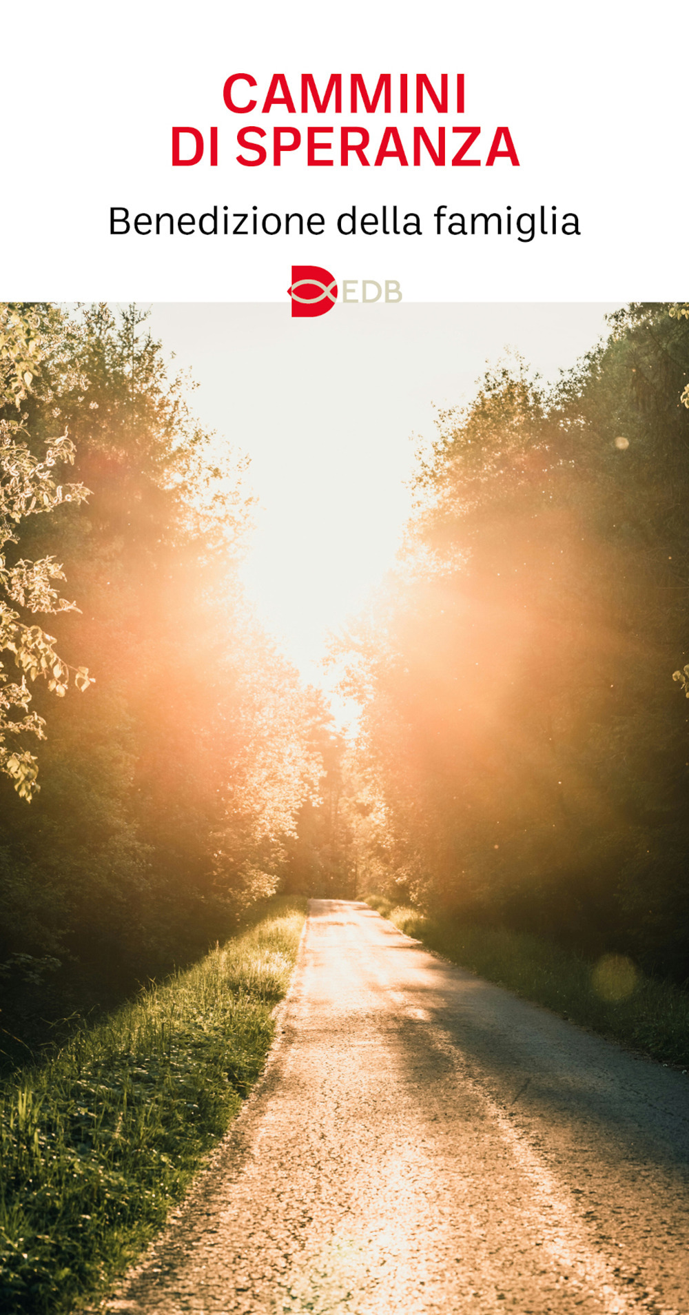 Libro Cammini di speranza. Benedizione della famiglia di Luciano Iezzi - ean 9788810251652 - EDB