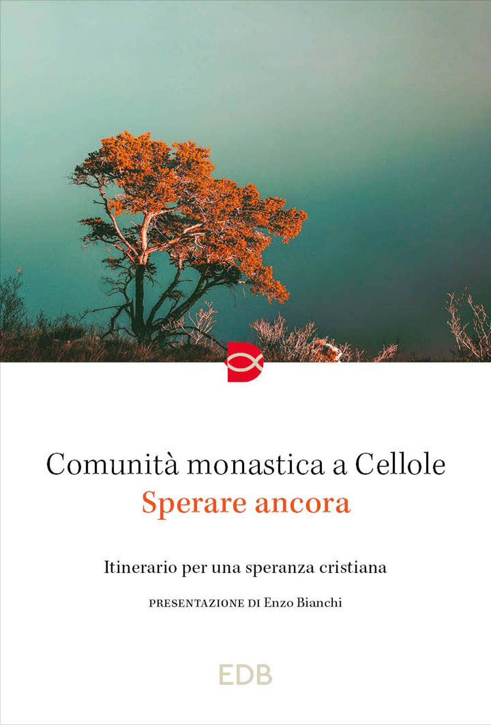 Libro Sperare ancora. Itinerario per una speranza cristiana di Comunità monastica a Cellole - ean 9788810326183 - EDB
