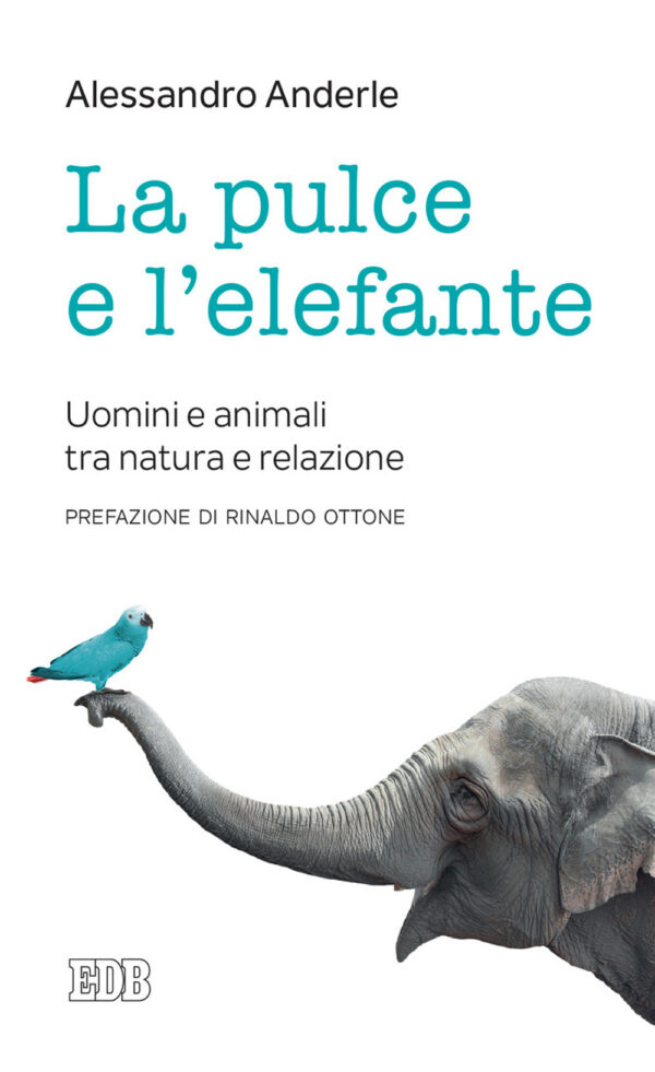 Libro pulce e l'elefante. Uomini e animali tra natura e relazione di Alessandro Anderle - ean 9788810559871 - EDB
