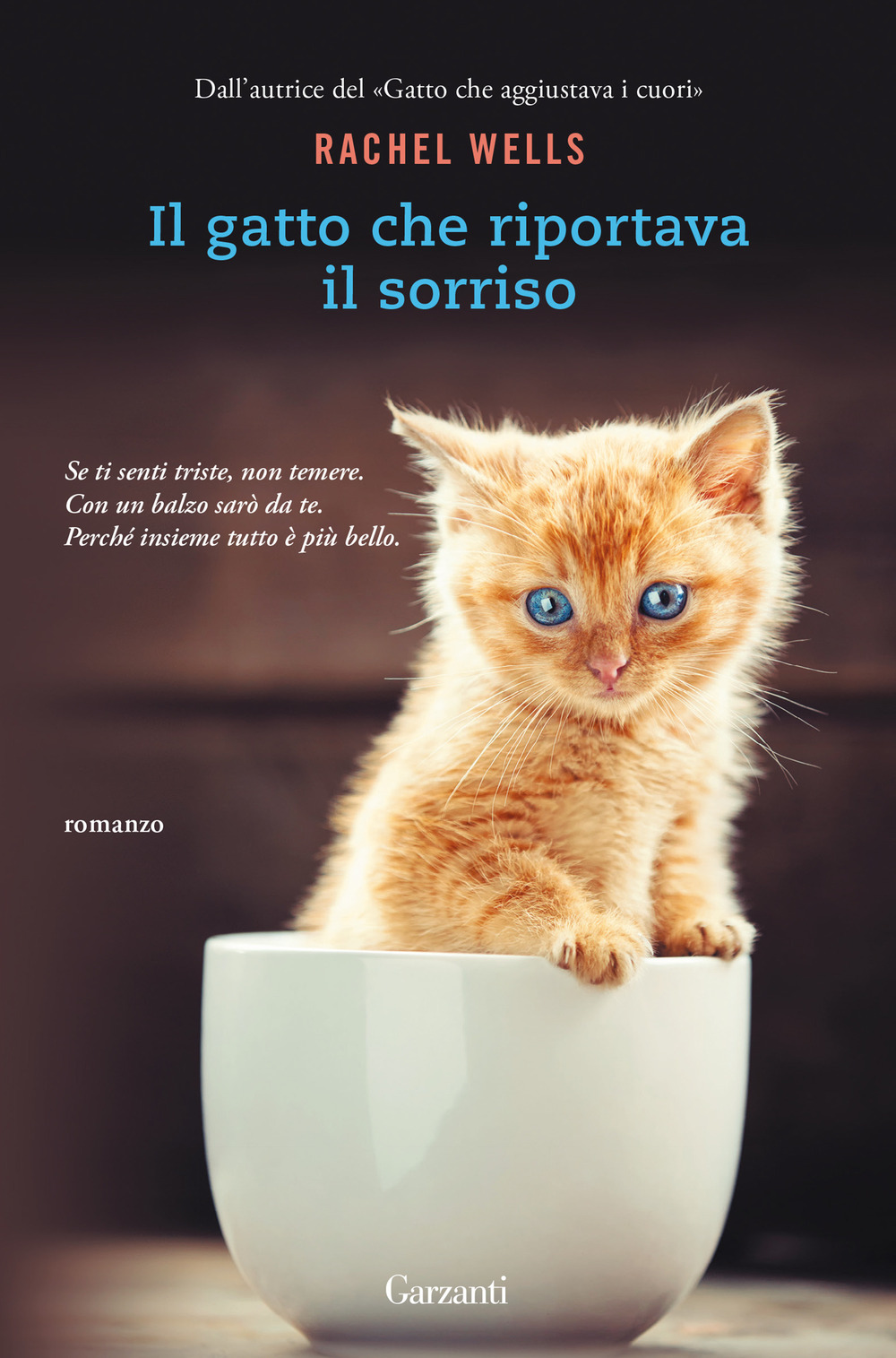Libro gatto che riportava il sorriso di Rachel Wells - ean 9788811005384 - Garzanti