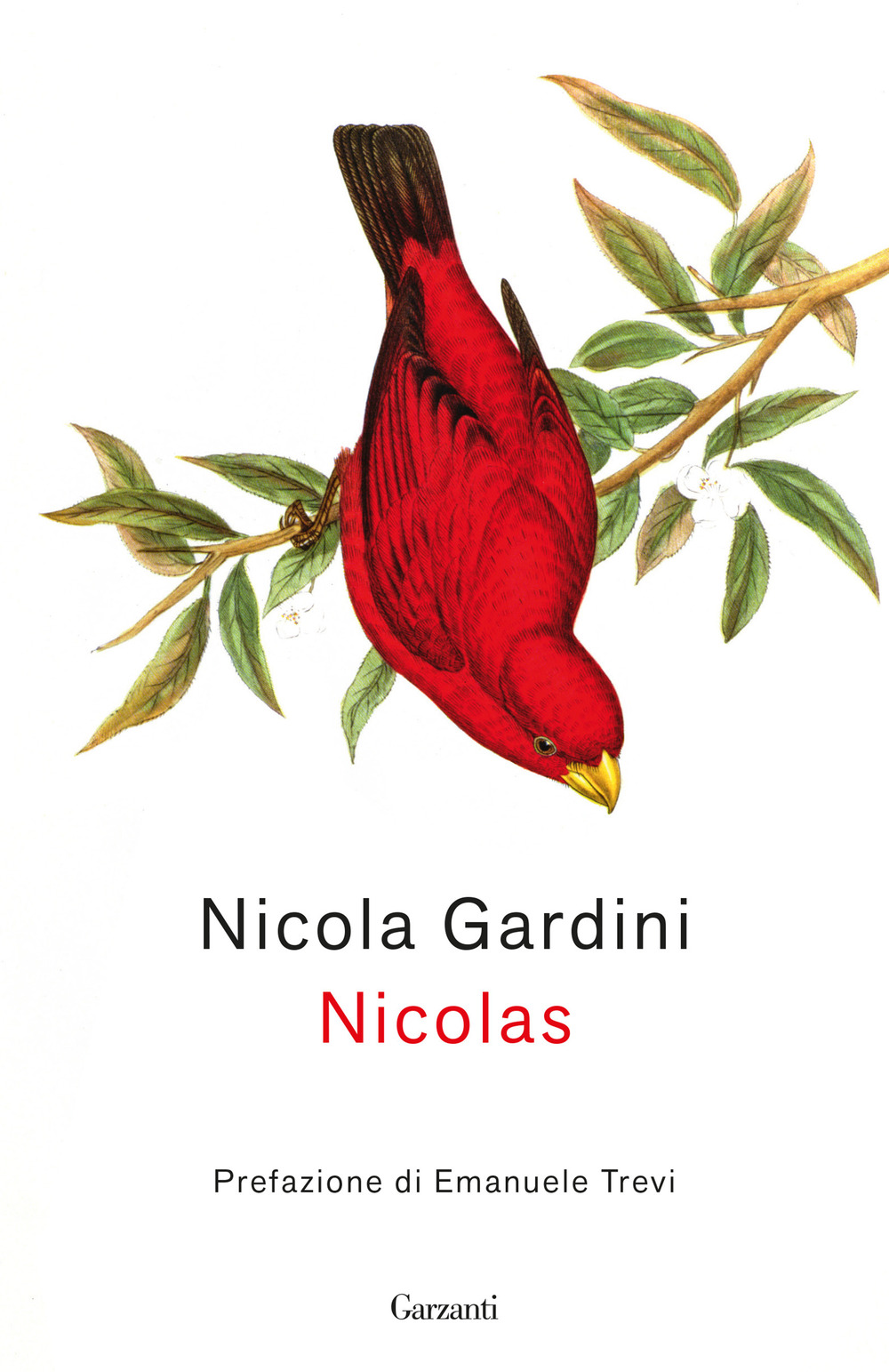 Libro Nicolas di Nicola Gardini - ean 9788811013143 - Garzanti