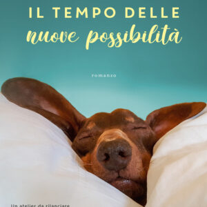 Libro tempo delle nuove possibilità di Lucy Dillon - ean 9788811605409 - Garzanti