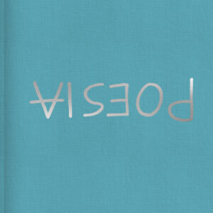 Libro Poesia. Ediz. italiana e francese di Marcello Maloberti - ean 9788812013593 - Treccani