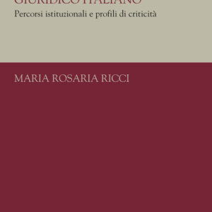Libro città metropolitana nell'ordinamento giuridico italiano. Percorsi istituzionali e profili di criticità di Maria Rosaria Ricci - ean 9788815287106 - Il Mulino
