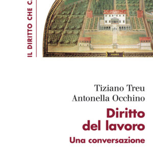 Libro Diritto del lavoro. Una conversazione di Tiziano Treu; Antonella Occhino - ean 9788815291301 - Il Mulino