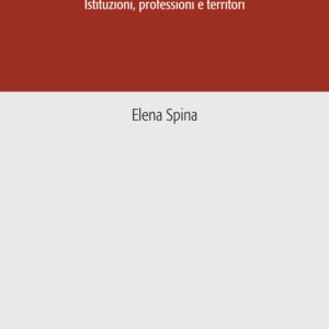 Libro Welfare e maternity care. Istituzioni