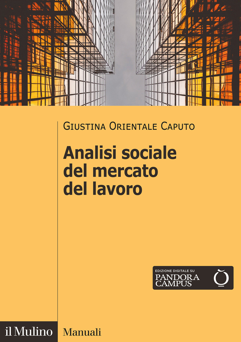 Libro Analisi sociale del mercato del lavoro di Giustina Orientale Caputo - ean 9788815293589 - Il Mulino