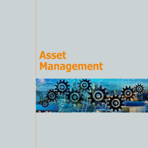 Libro Asset management di Massimiliano Marzo - ean 9788815293800 - Il Mulino