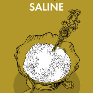 Libro Andare per saline di Roberto Carvelli - ean 9788815295781 - Il Mulino