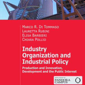 Libro Industry organization and industrial policy. Production and innovation