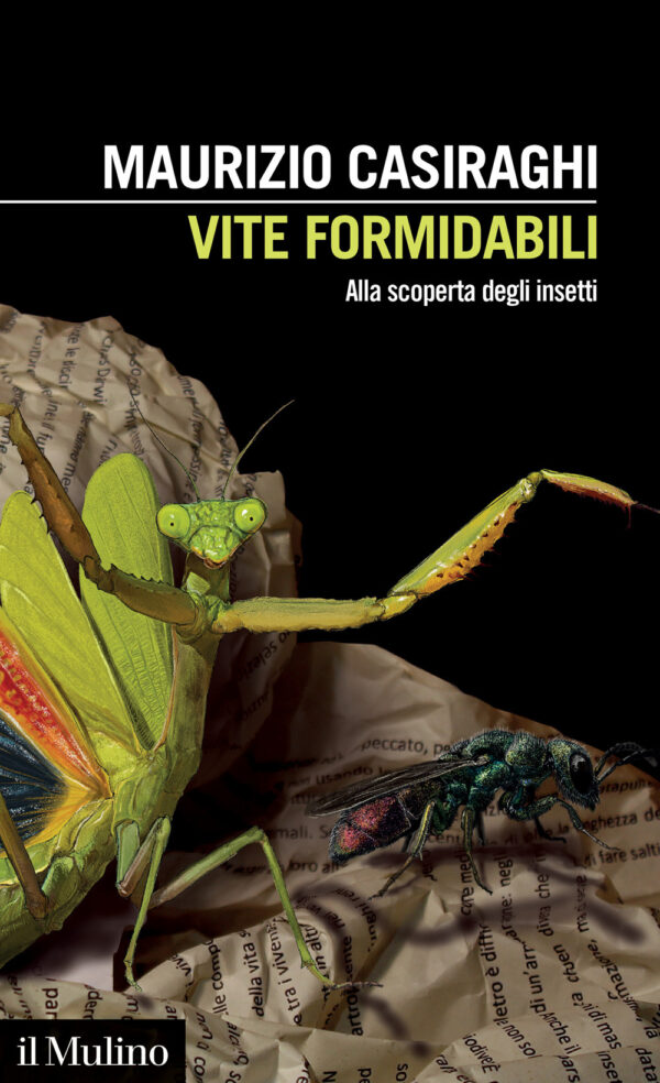 Libro Vite formidabili. Alla scoperta degli insetti di Maurizio Casiraghi - ean 9788815389237 - Il Mulino