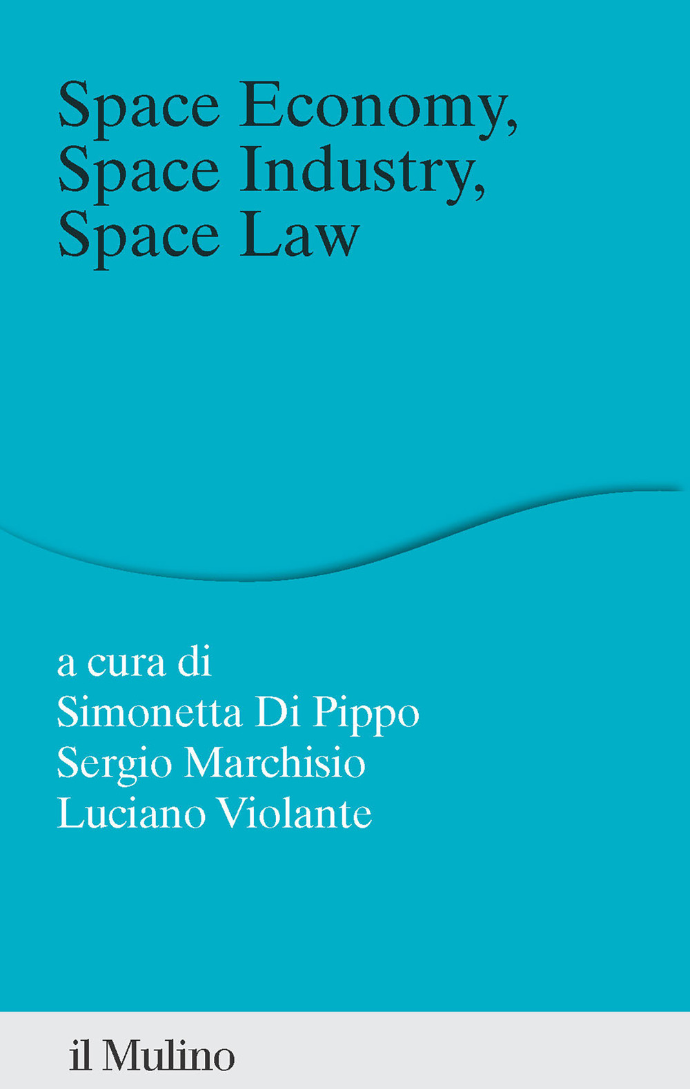 Libro Space economy