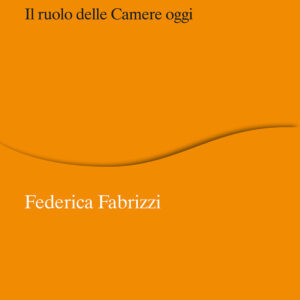 Libro Parlamento nella «democrazia decidente». Il ruolo delle Camere oggi di Federica Fabrizzi - ean 9788815390103 - Il Mulino