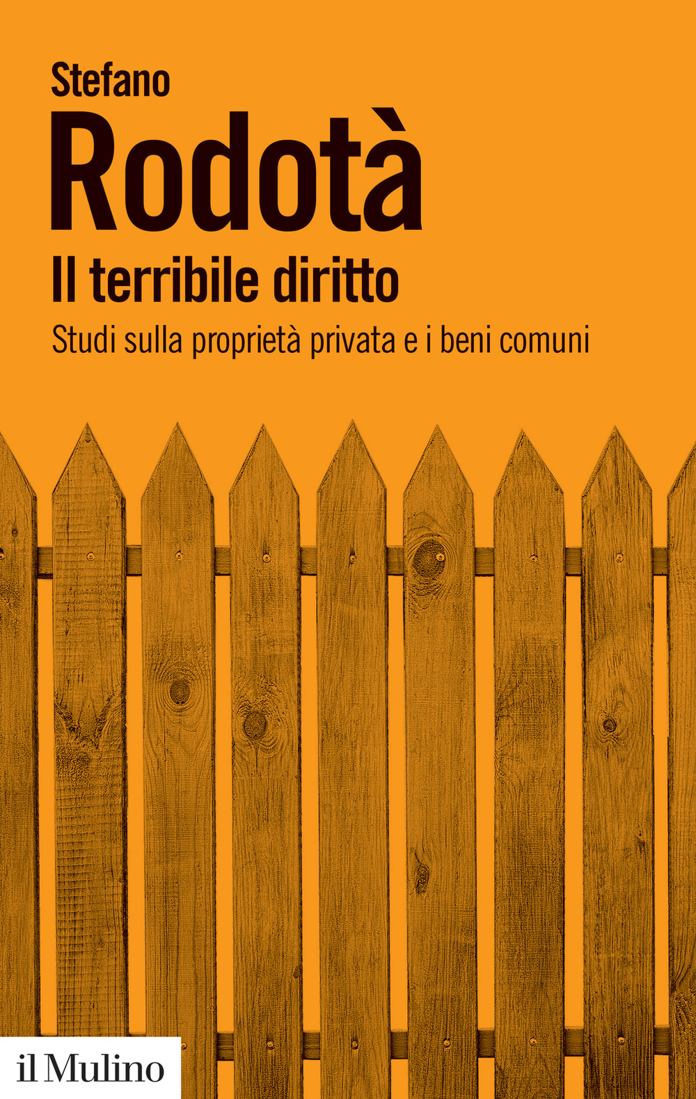 Libro terribile diritto. Studi sulla proprietà privata e i beni comuni di Stefano Rodotà - ean 9788815390738 - Il Mulino