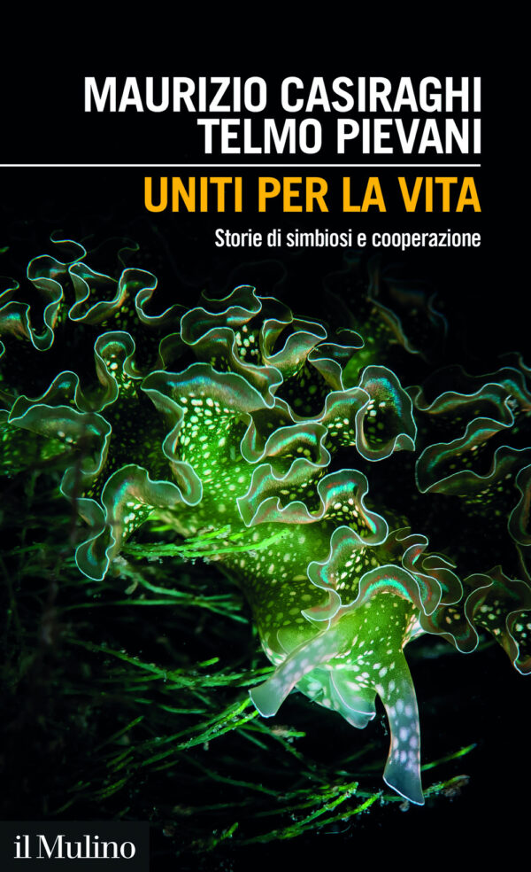 Libro Uniti per la vita. Storie di simbiosi e cooperazione di Maurizio Casiraghi; Telmo Pievani - ean 9788815392923 - Il Mulino