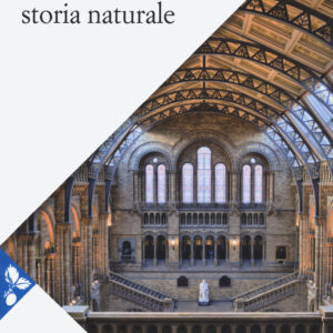 Libro musei di storia naturale di Giovanni Pinna - ean 9788816417717 - Jaca Book
