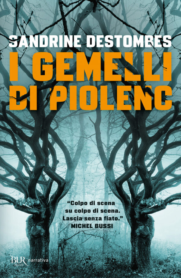 Libro gemelli di Piolenc di Sandrine Destombes - ean 9788817145442 - Rizzoli