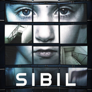 Libro Sibil di Marco Scardigli - ean 9788817148146 - Rizzoli