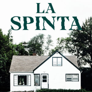 Libro spinta di Ashley Audrain - ean 9788817148177 - Rizzoli