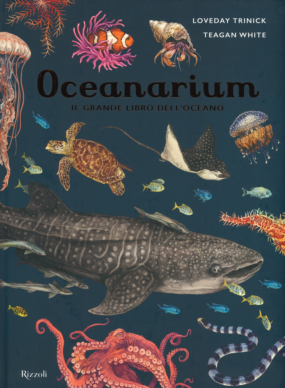 Libro Oceanarium. Il grande libro dell'oceano di Loveday Trinick - ean 9788817148924 - Rizzoli